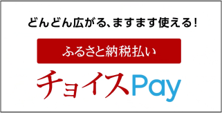 ふるさと納税払いチョイスpay